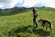 Ai Piani d’Artavaggio con anello Sodadura- Cima di Piazzo da Bonetto il 1 giugno 2019 - FOTOGALLERY